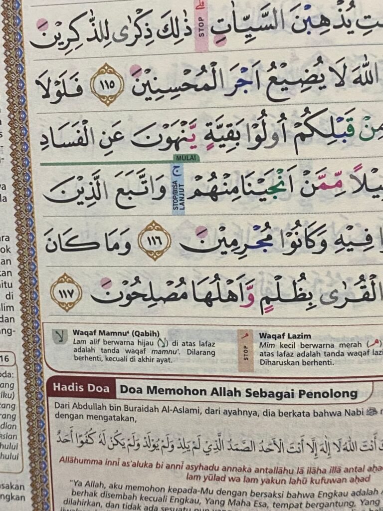 WhatsApp-Image-2025-11-18-at-07.55.45.jpeg
